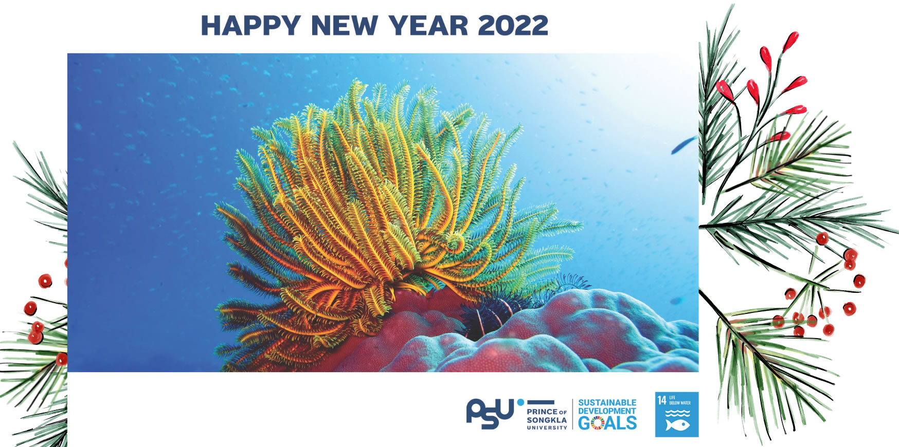 Happy New Year 2022 from PSU!