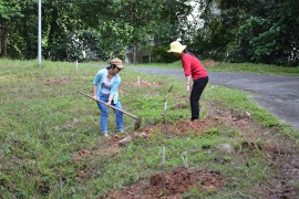 PSU International Students join Plant Trees Activity
